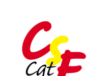 CSE du 13 juin 2023 Les questions de la CGT